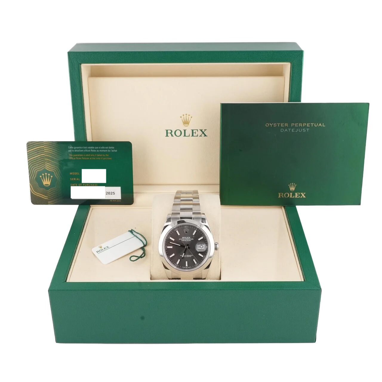 Rolex Datejust 41 Stainless Steel Silver Stick Dial 126300
