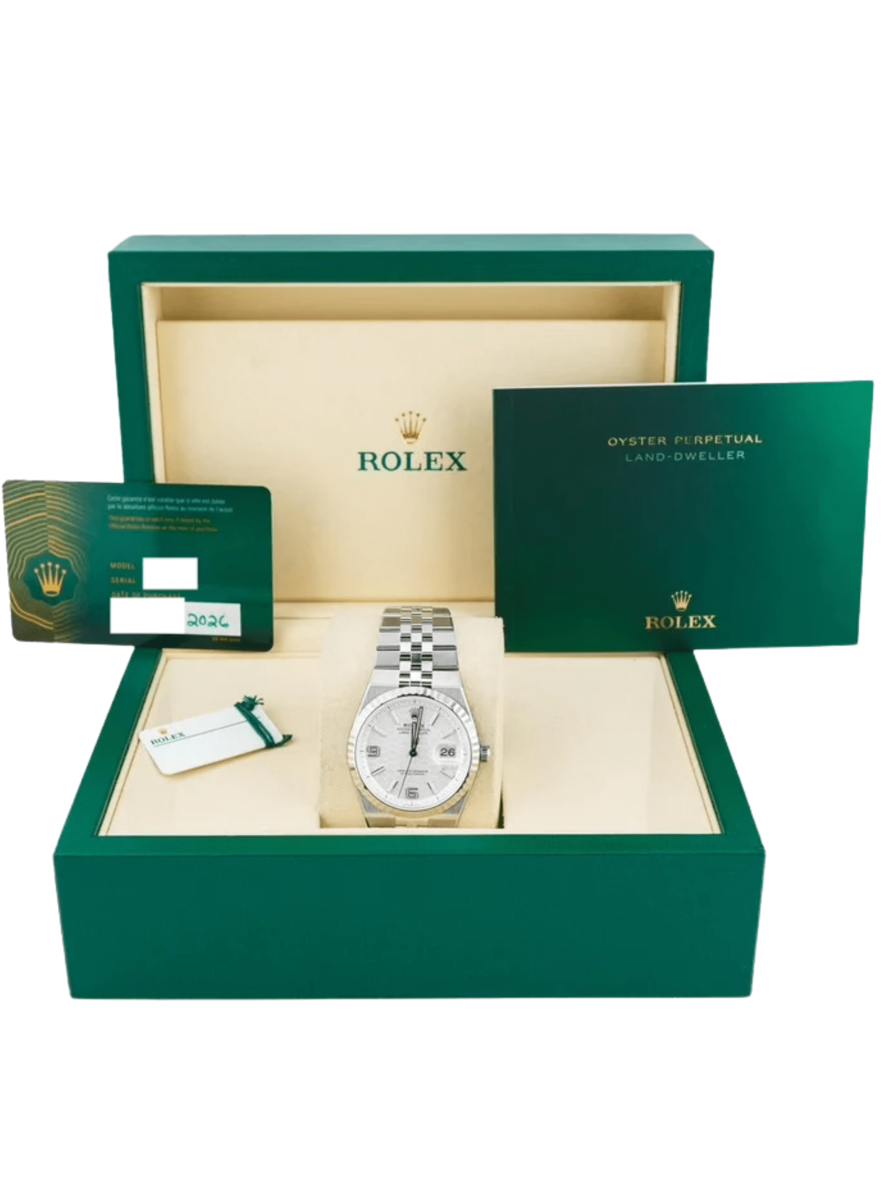 Rolex Land-Dweller Stainless Steel and White Gold White Dial 127234