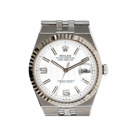 Rolex Land-Dweller Steel and White Gold Silver Dial 127334