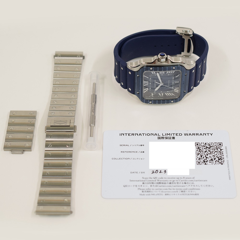 Cartier Santos de Cartier Stainless Steel Blue Roman Dial WSSA0048