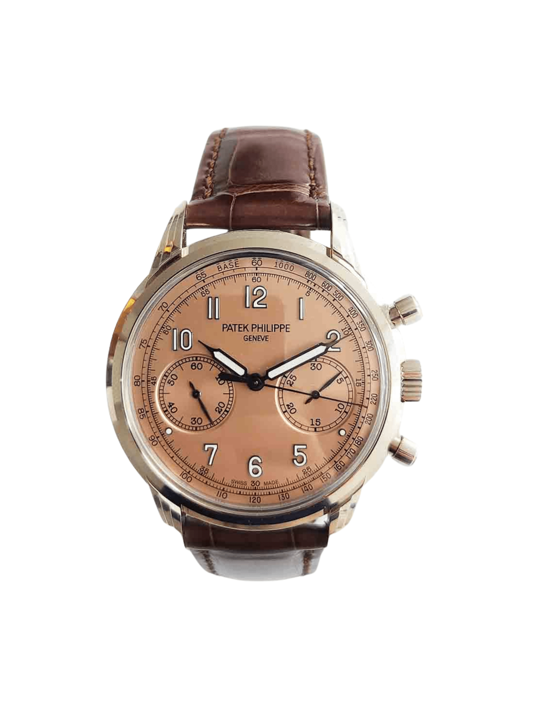 Patek Philippe Complications Salmon 5172G-010